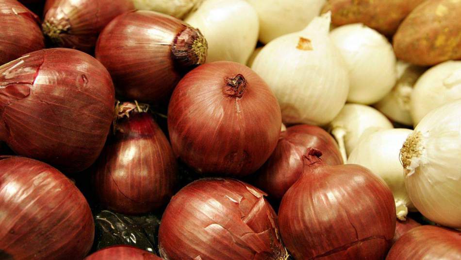 Patates ve soğan için ithalat hamlesi