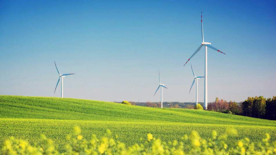 Yenilenebilir Enerji İçin 4 Ayrı İhale Yapılacak