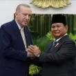 Erdoğan’a Endonezya’da Görkemli Karşılama