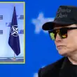 Elon Musk: ABD NATO’dan Çıkmalı