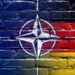 Trump’ın NATO’ya Bütçeden %5 Katkı Talebini Almanya Kabul Etti
