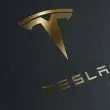 AB Ülkelerinde Tesla Satışları Nisanda Yüzde 52,6 Düştü