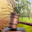 Türkiye’nin İlk İklim Kanunu Yürürlükte,  Üzerinde Tartışmalar Sürüyor