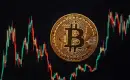 Bitcoin Rekor Yükselişle 112 Bin Dolara Dayandı, Ancak Trump’ın Brezilya’ya  %50 Gümrük Vergisi Uygulama Kararı ile Geri Düştü, Tekrar Hızla Düşebilir