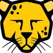 Milli İşletim Sistemi PARDUS Okullarda Kullanılmaya Başlandı