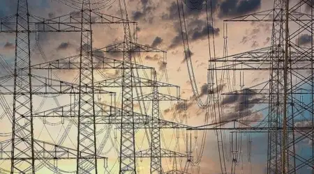 Afrika Kalkınma Bankası Başkanı Kıtada 600 Milyon Kişinin Elektriğe Erişiminin Olmadığını Açıkladı