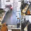 Kaliforniya’da Yağma Başladı