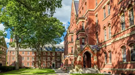 Harvard Üniversitesi’nin Anketine Göre ABD Gençliğinin %57’si Ülkenin Yanlış Yönetildiğini Düşünüyor