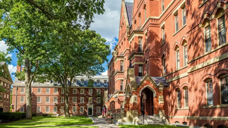 Harvard Üniversitesi’nin Anketine Göre ABD Gençliğinin %57’si Ülkenin Yanlış Yönetildiğini Düşünüyor