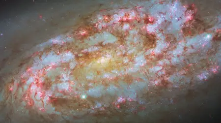 Dünya Buna Kilitlendi: Uzayda Sarsıcı Hareketlilik