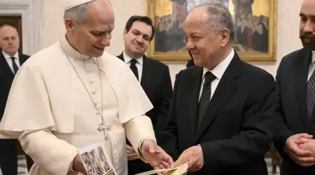 Mesut Barzani Terör Örgütü PKK/YPG’nin Suriyeli Kürtlere Yük Olduğunu Söyledi