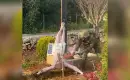 Hiçbir Dine Saygıları Yok: İsrail'in En Üst Düzey Yahudi Dini Kurumu, İsa Heykelinin Parçalanmasını 'Kınamayı Reddetti'