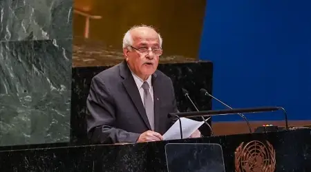 BM’de Orman Kanunu: ABD’nin “Vizelerinizi İptal Ederim” Tehdidi Üzerine BM Başkan Yardımcılığına Hazırlanan Mansur, Adaylığını Geri Çekti