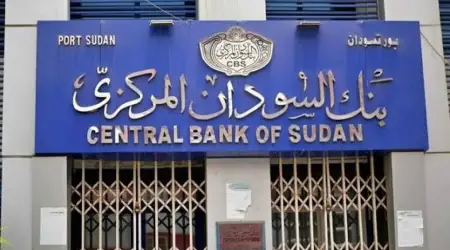 Merkez Bankası'nın Döviz Enjekte Etmesiyle Sudan Poundu Hafifçe Toparlandı