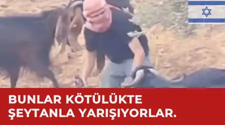Katliamcı İsraillilerden Şeytani Plan: Yahudilere Ait Hayvanları Zehirleyip Suçu Müslümanların Üzerine Attılar