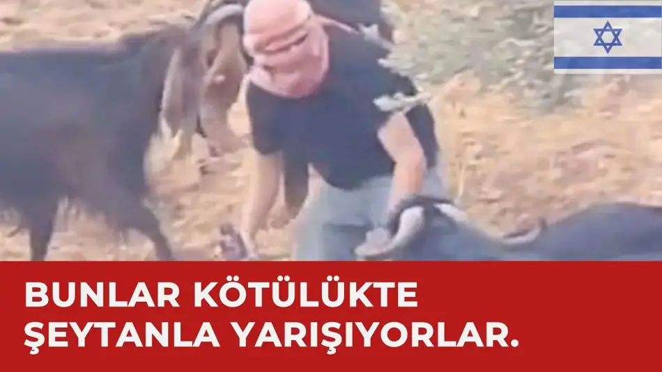 Katliamcı İsraillilerden Şeytani Plan: Yahudilere Ait Hayvanları Zehirleyip Suçu Müslümanların Üzerine Attılar