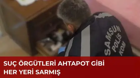 Yeni Nesil Suç Örgütlerine Yapılan Operasyonda 58 İlde 348 Şüpheli Yakalandı