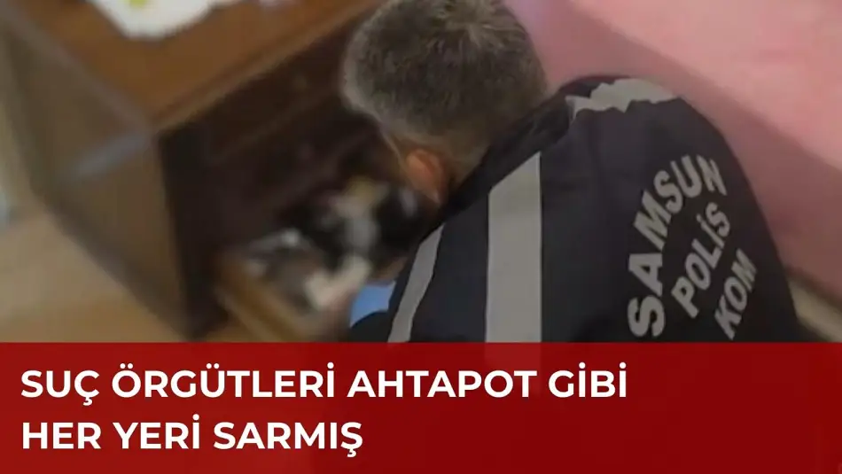 Yeni Nesil Suç Örgütlerine Yapılan Operasyonda 58 İlde 348 Şüpheli Yakalandı
