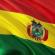 Bolivya’da Askeri Darbe ve Lityum Madeni