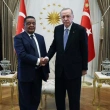 Cumhurbaşkanı Erdoğan, Eski Etiyopya Cumhurbaşkanı Wirtu ile Görüştü