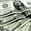 Dolar/TL  yeni haftaya rekor tazeleyerek başladı