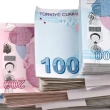 Ekonomide Türk lirası devri
