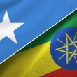Somali ve Etiyopya Türkiye’nin Arabuluculuğuyla Ankara’da Buluşacak 