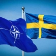 Üyelikten Önce NATO'nun İsveç'i Koruması Söz Konusu Olabilir