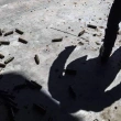 BM, AB, Afrika Birliği ve Arap Ligi, Libya'daki Paralı Askerlerin Çekilmesi İstedi