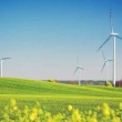 Yenilenebilir Enerji İçin 4 Ayrı İhale Yapılacak