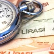Merkez Bankası toplam rezervleri, geçen hafta 102 milyar 919 milyon dolar oldu 