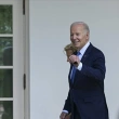 Biden, 2024 Seçimlerinde Aday Olacağını Resmen Duyurdu