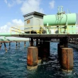BAE Hafter'e Destek İçin Libya Petrolünü İllegal Yollarla Satmaya Çalışıyor