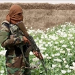 Taliban'dan, Haşhaş Yerine Sebze Ekimine Teşvik 