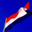 Hollanda'da Hükümet İstifa Etti