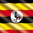 Uganda Çalışma Bakanı Albay Charles Okello Engola Koruması Tarafından Öldürüldü