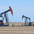 G7, OPEC'e Petrol Arzını Artırma Çağrısında Bulundu