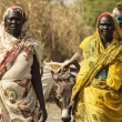 BM: Güney Sudan'da 8,3 Milyon Kişi İnsani Yardıma Muhtaç