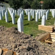 Avusturya ve Arnavutluk'tan Srebrenitsa Soykırımı'na İlişkin Karar