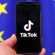 Avrupa Birliği, Çalışanlarına TikTok'u Yasaklama Kararı Aldı
