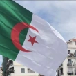 Cezayir'de France 24 Kanalının Akreditasyonunu İptal Edildi