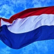 Hollanda Ekonomisi Resesyona Uğradı