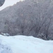 Bitlis'te PKK Sığınağındaki Seçimlere İlişkin Belgelerle İlgili Soruşturma Başlatıldı
