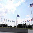 NATO: Ülkeyi Zorla Ele Geçirirse Taliban'ı Tanımayız