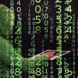 Terör Örgütü PKK/KCK'nın Hacker'larına Yönelik Operasyon