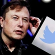 Elon Musk İfşaa Etti: ABD 250 Bin Hesabın Kapatılmasını İstedi