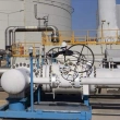 AB'nin Rusya'dan Sıvılaştırılmış Gaz İthalatı Son Üç Yılın En Yüksek Seviyesinde