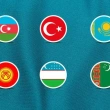 Orta Asya Yerine Türkistan Kullanılacak 