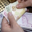 Türk Lirası'nda Son 2 Yılın En Hızlı Yükselişi