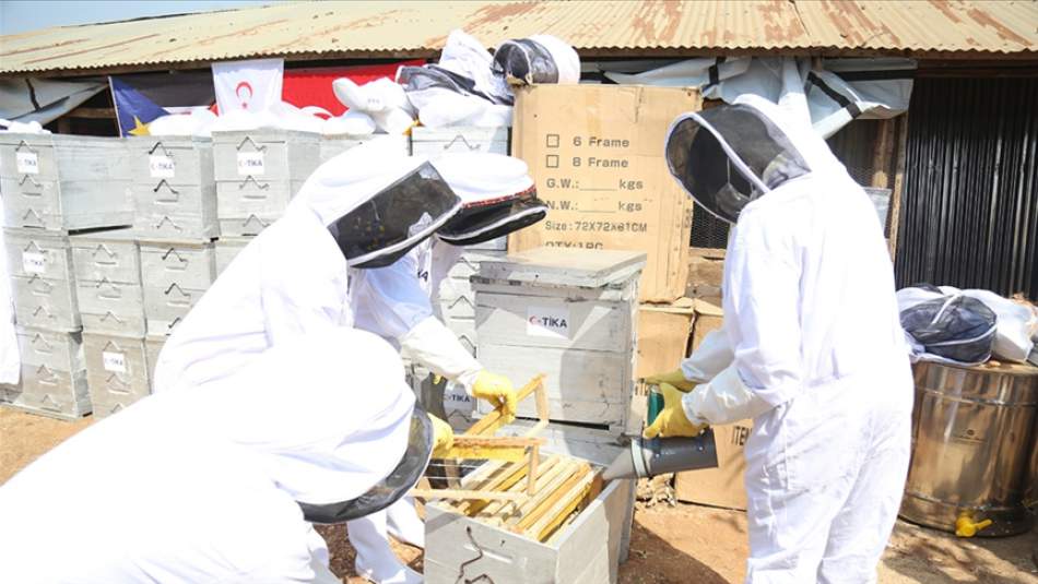 TİKA Güney Sudan'daki Çiftçilere Tavukçuluk ve Arıcılık Ekipmanı Sağladı